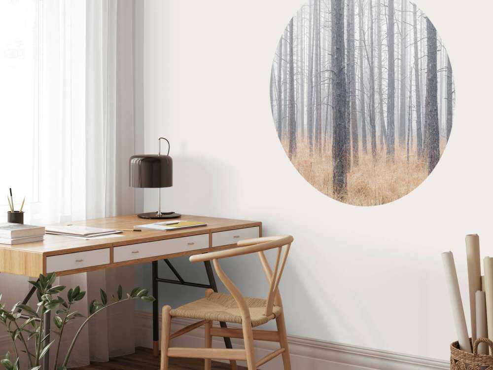 Stille skog