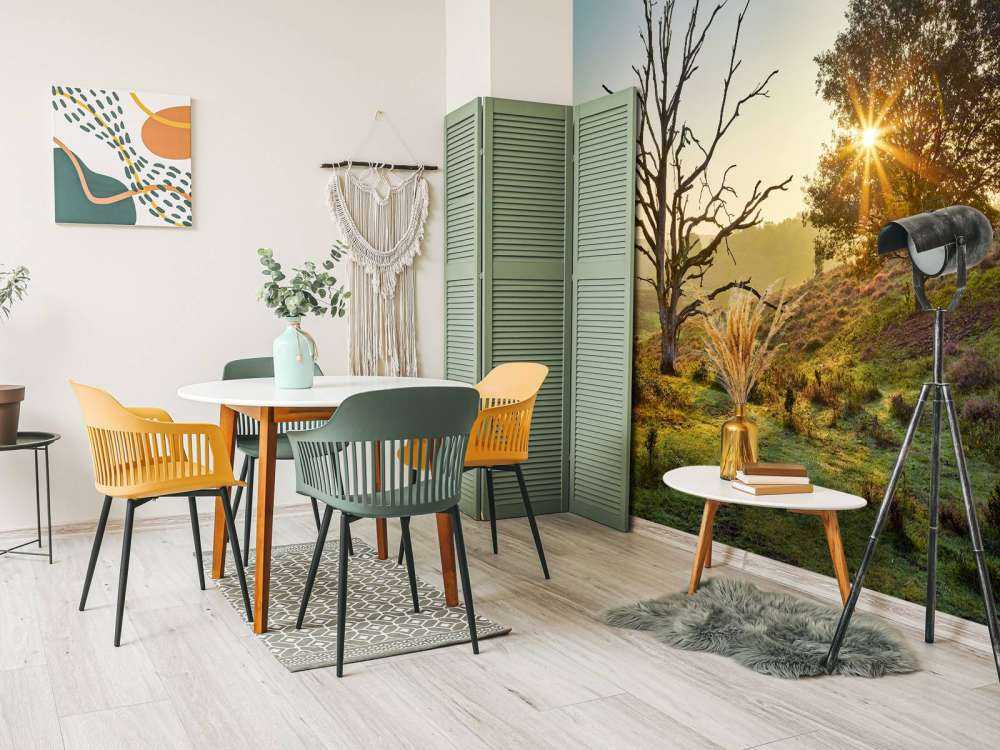 Oppgående sol på heia