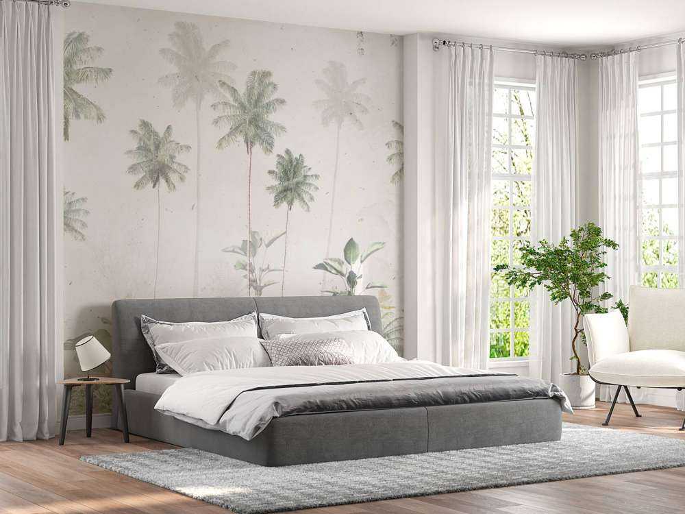 Tropisk Tåke Morgen