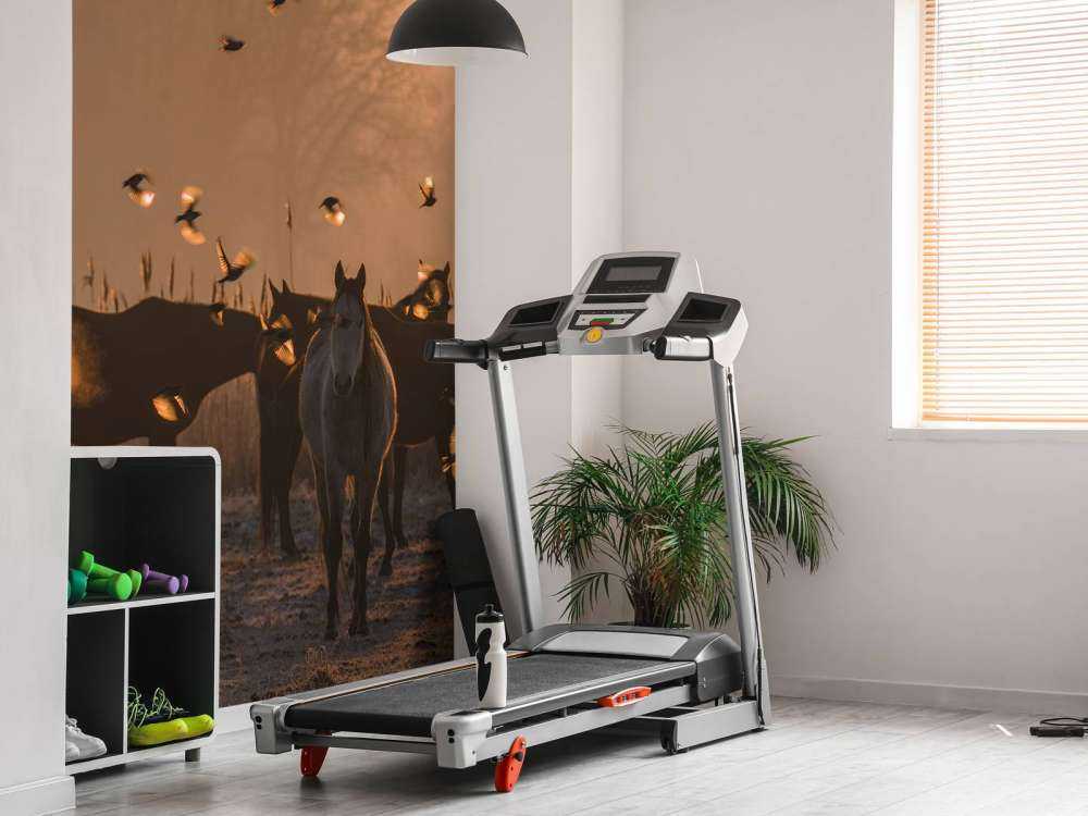 Wild horses
