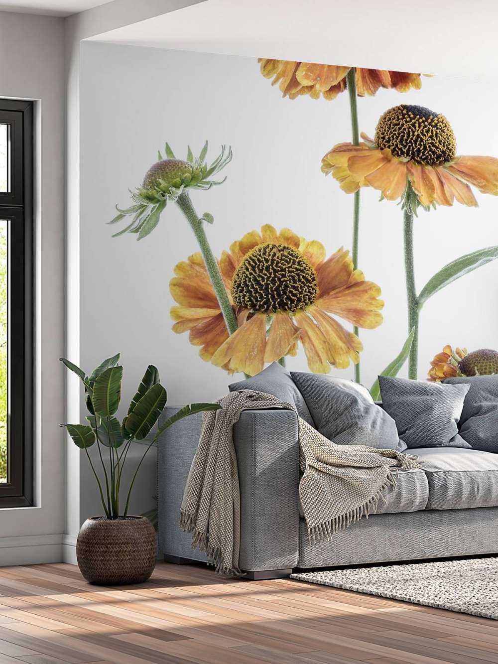 Gule helenium