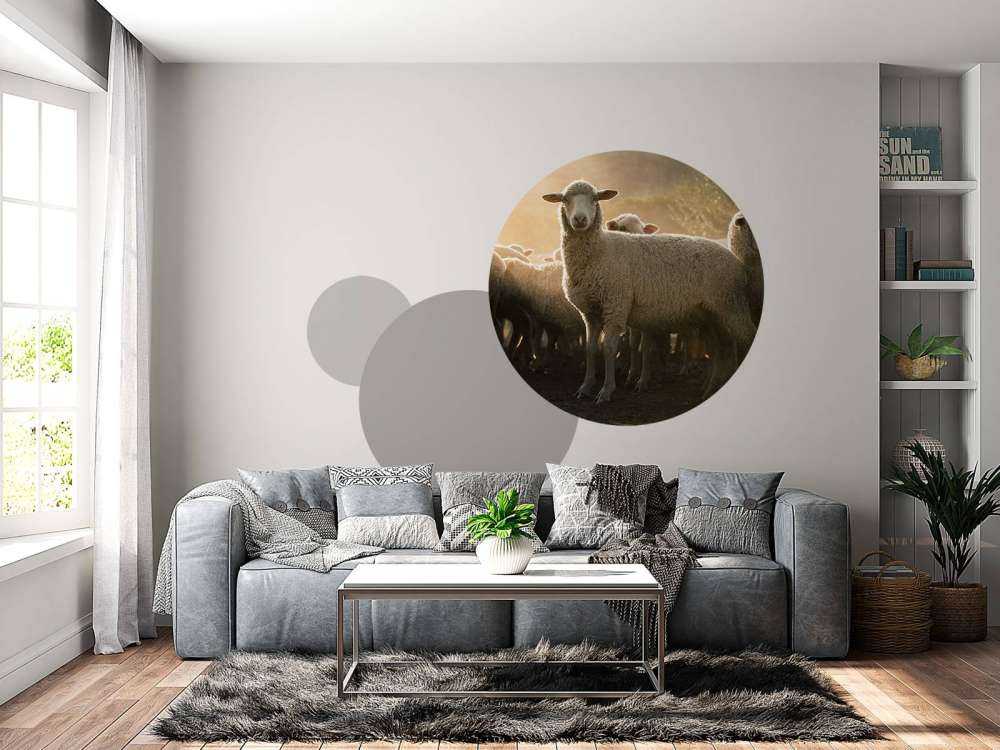 Saueflokk med gylden time