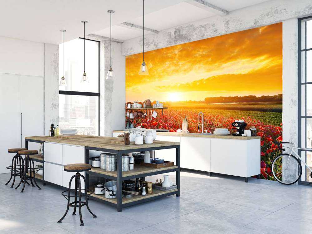 Valmuer og solnedgang