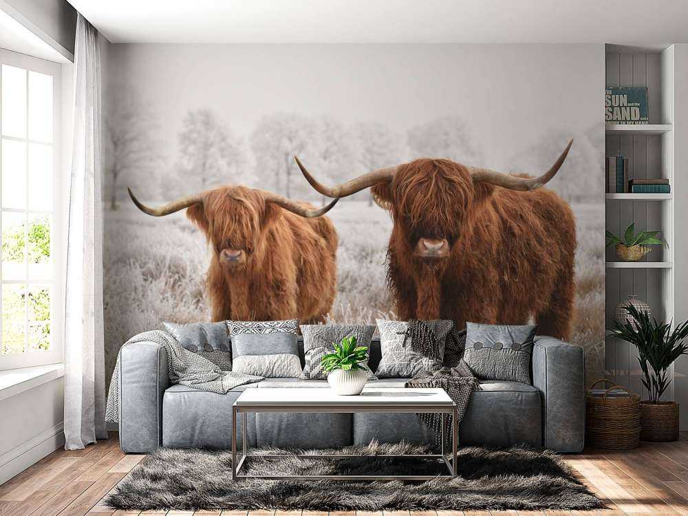 Vinter Høylandskveg