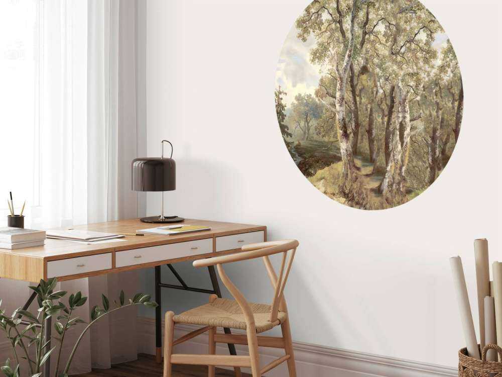 Skoglandskap Farge Panorama