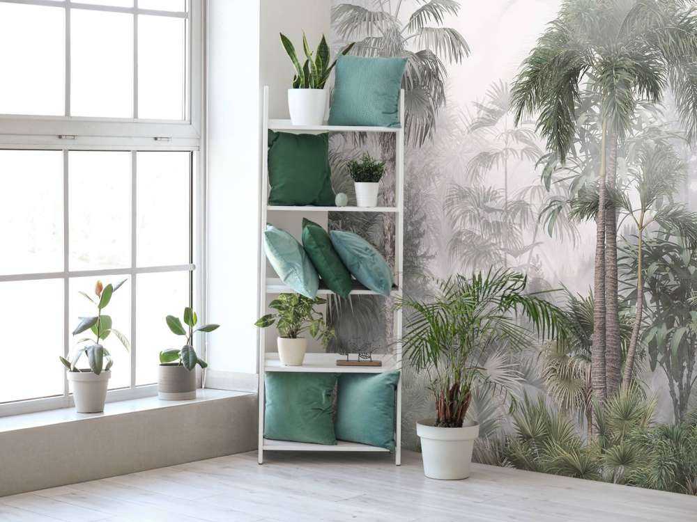 Morgentåke i Tropene