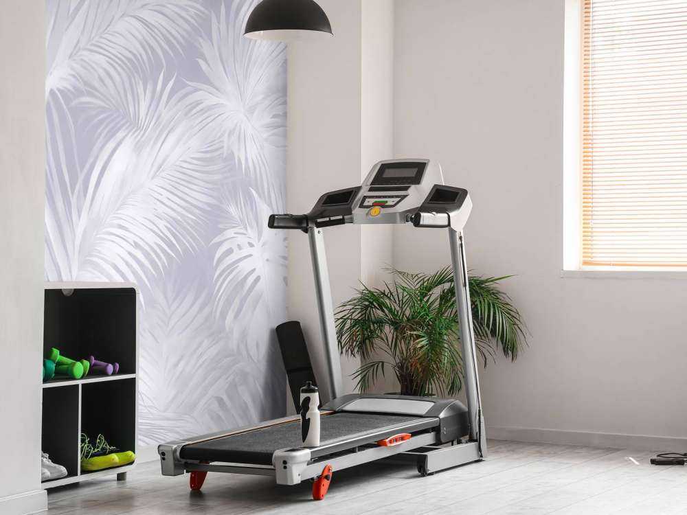 Palm Extravaganza Lilla