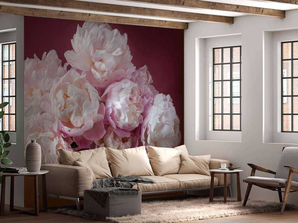 haug med rosa peoner