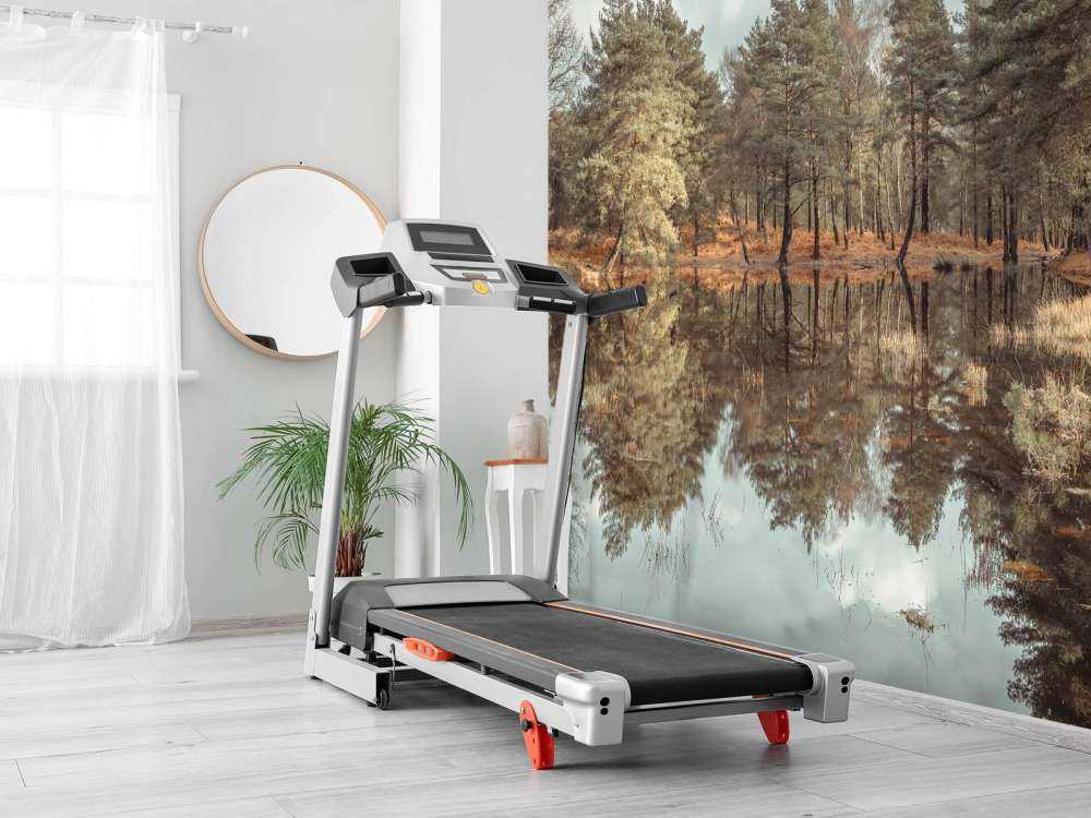 Trær ved siden av en innsjø