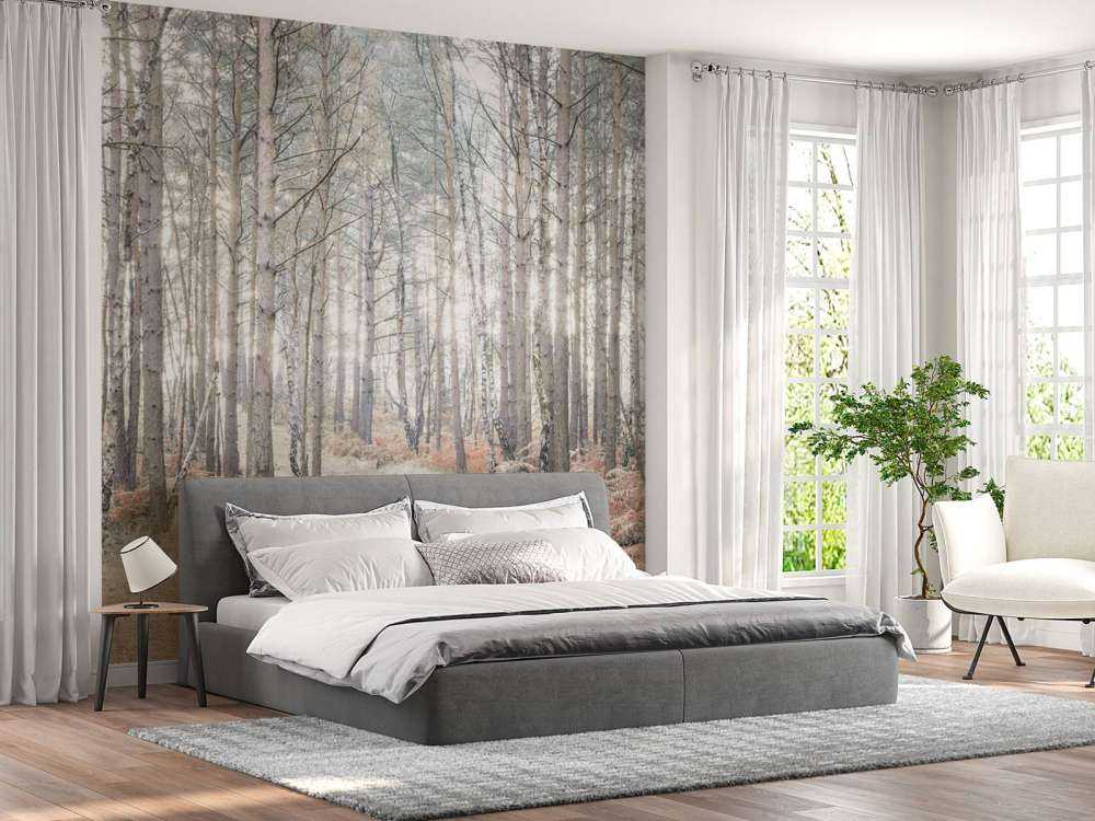 Sandsti gjennom skogen