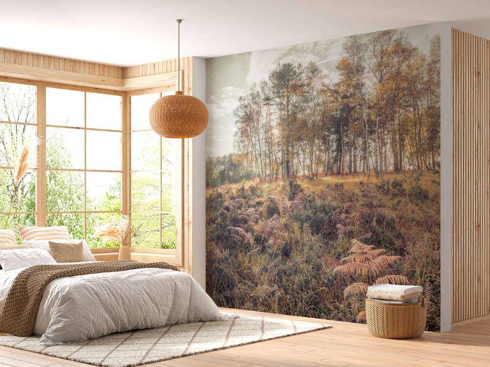 Skog om morgenen