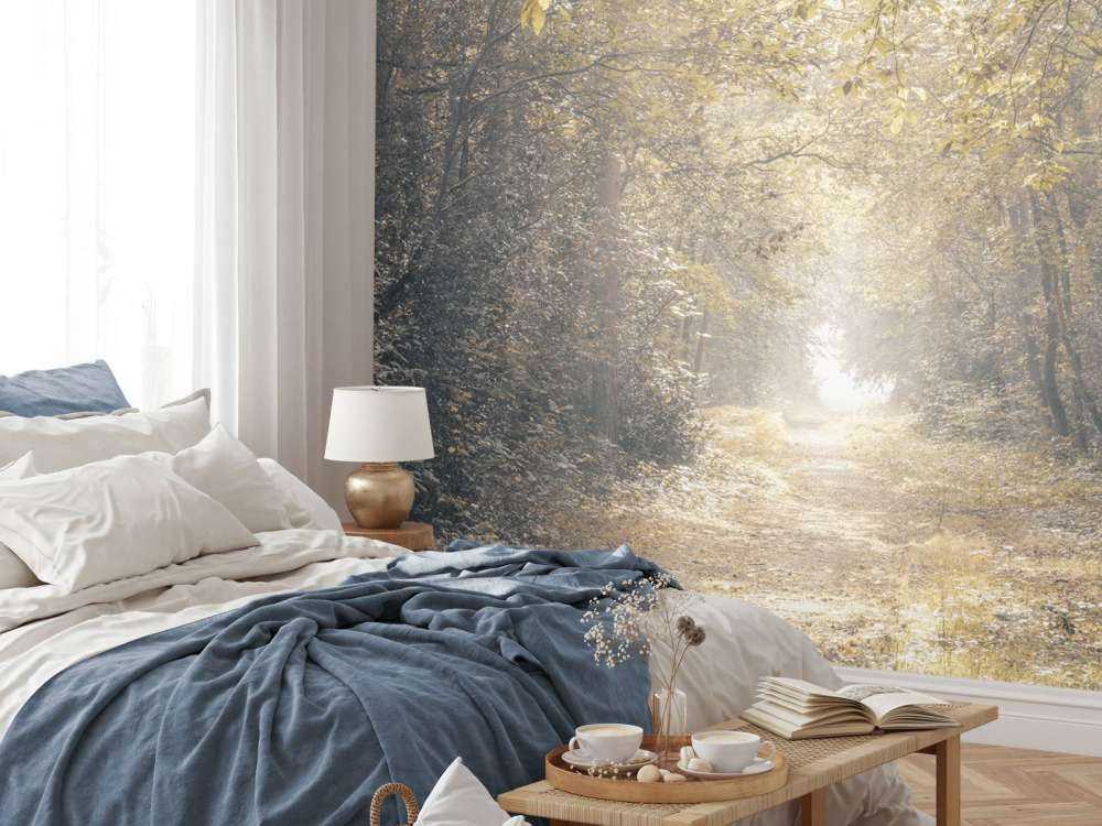 Sti gjennom en forlatt skog