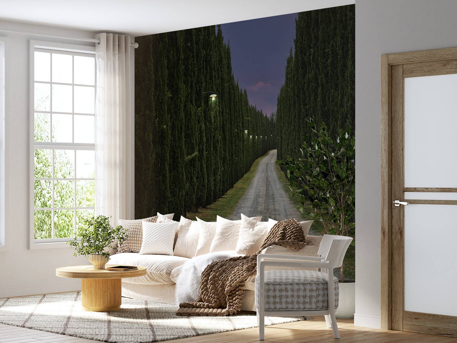 Cypress om kvelden