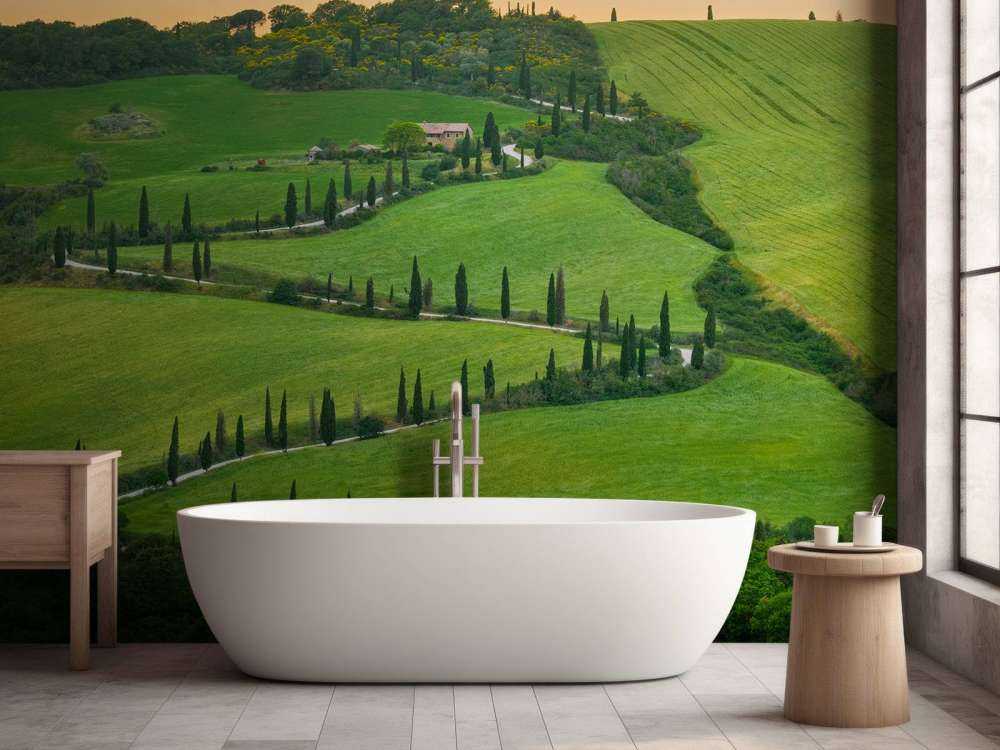 Svingete vei med sypresser