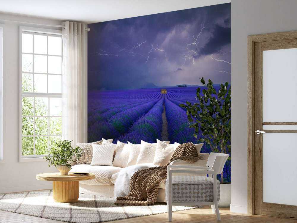 Wetter im Lavendelfeld