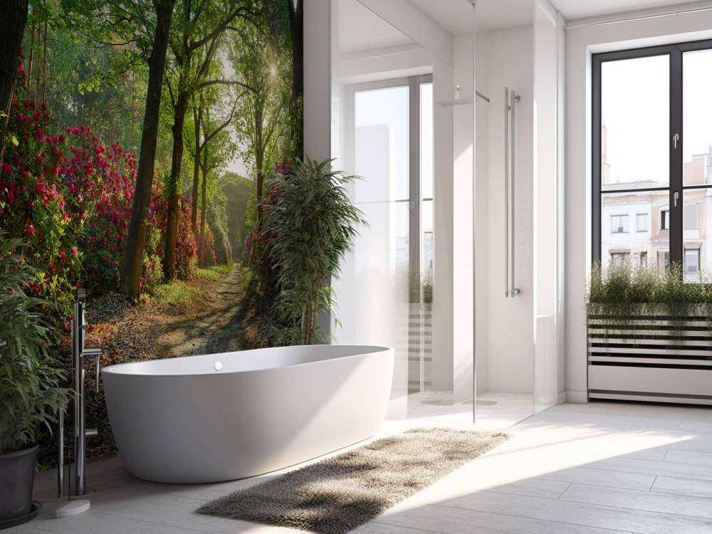 Soloppgang med sti med rododendroner