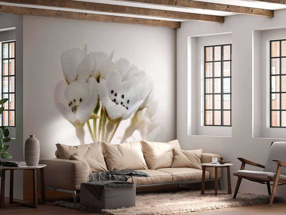 Pæreblomst nærbilde