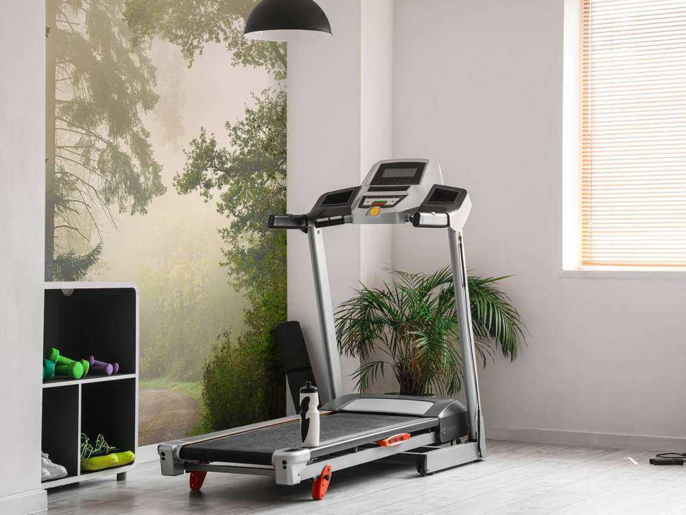 Veien gjennom tåkete skog