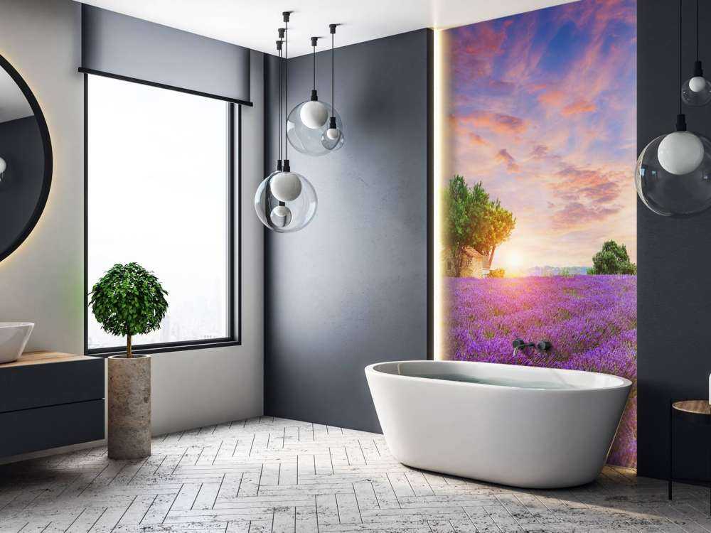 Lavendelåker under soloppgang