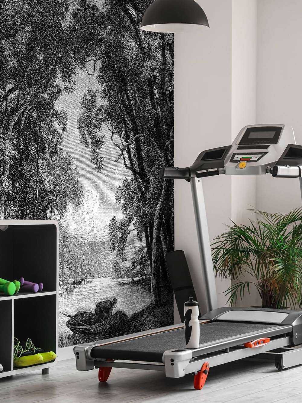 Gammel elv i jungelen