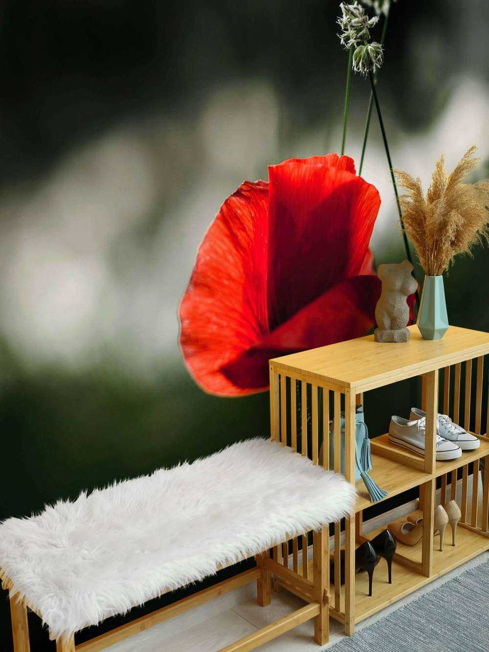 Rød valmue med gress