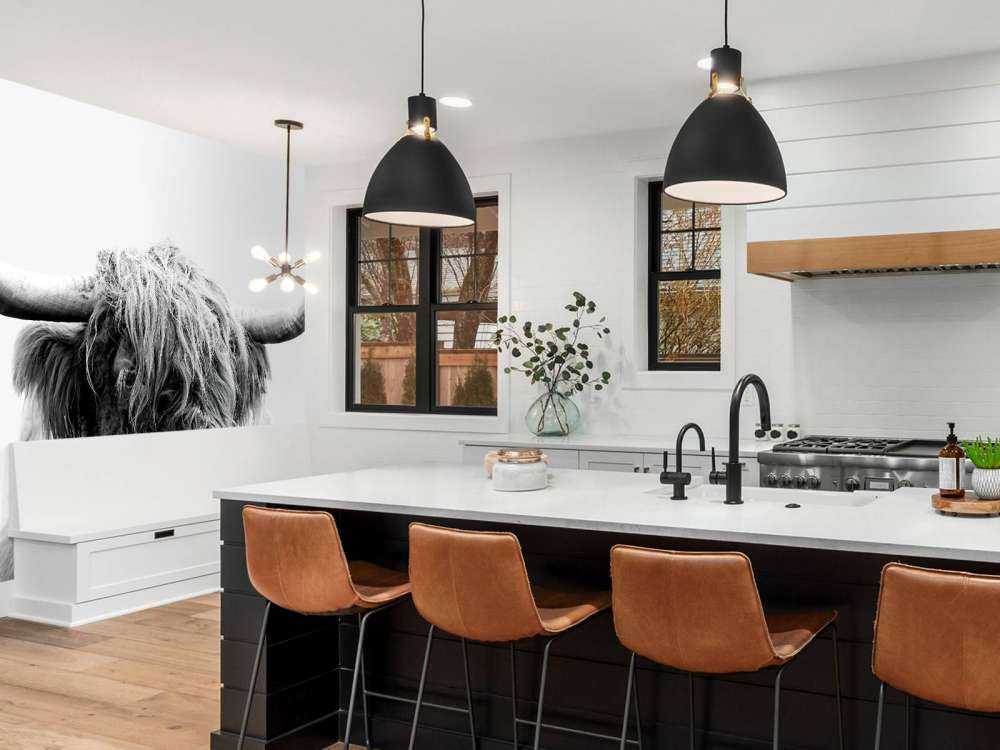 Morsomme skotske høyland