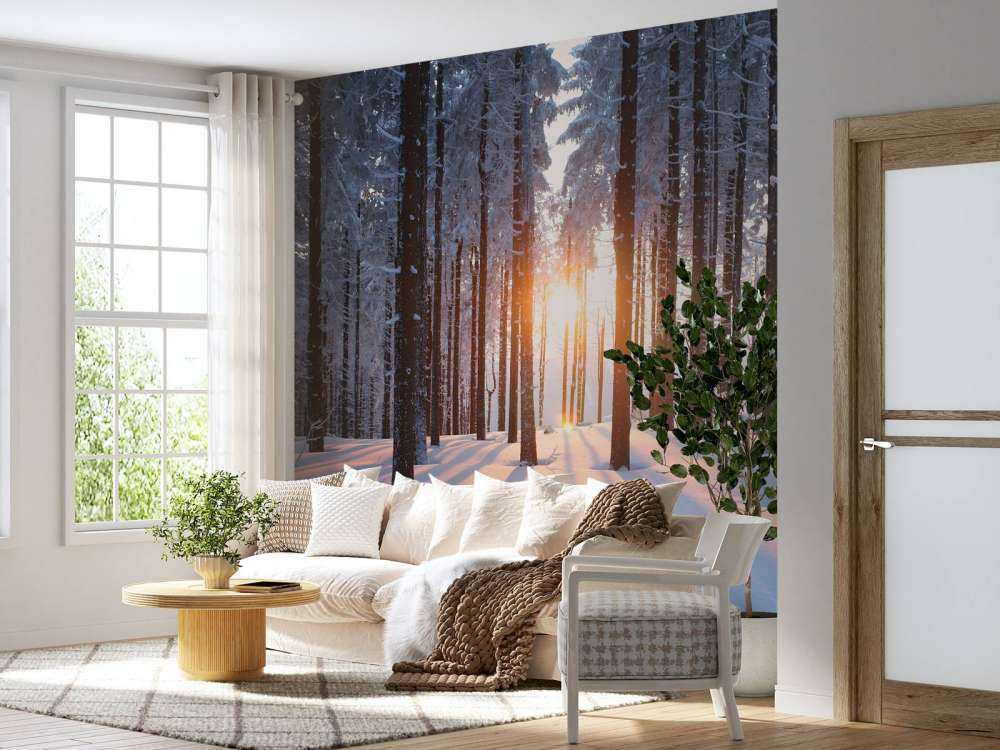 Solnedgang i en vinterskog