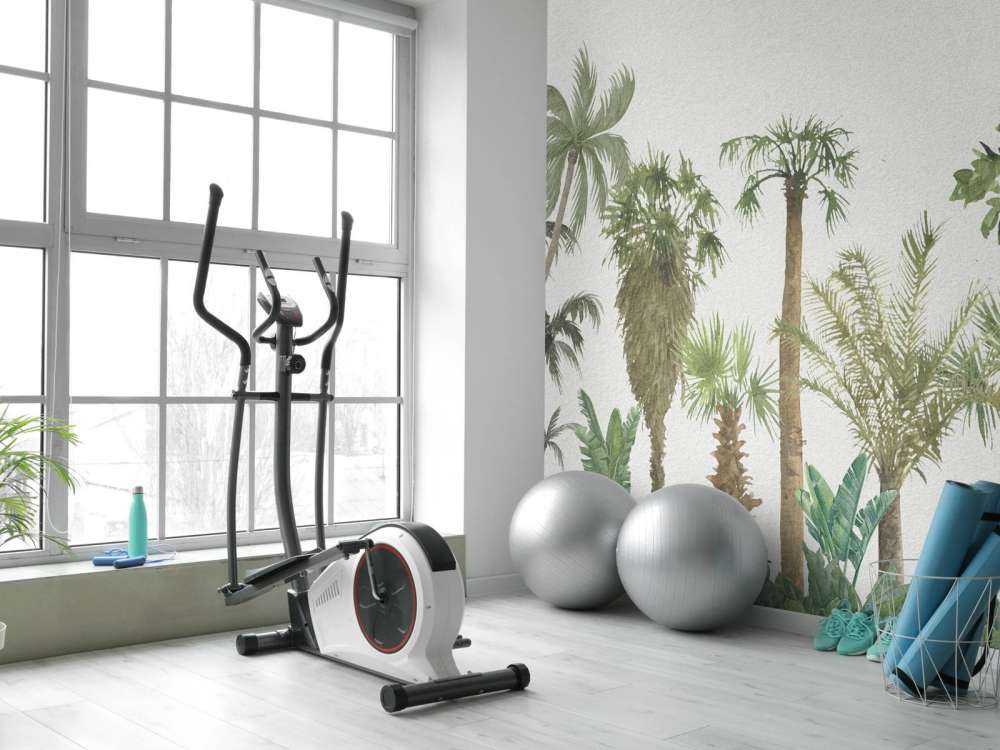 Tropiske trær og planter