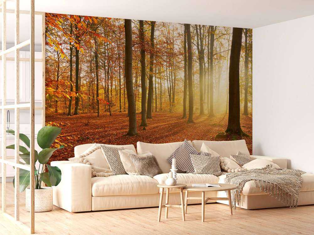 Høstmorgen i skogen