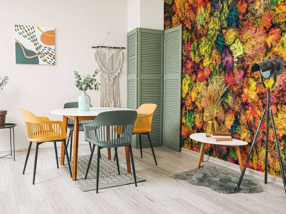 Luftfoto over høstskogen