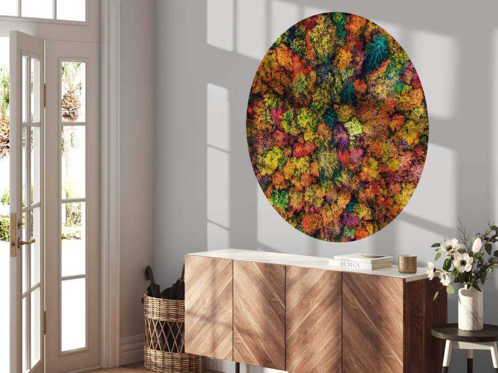 Luftfoto over høstskogen