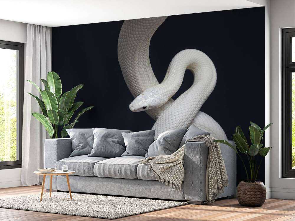 Texan rat snake