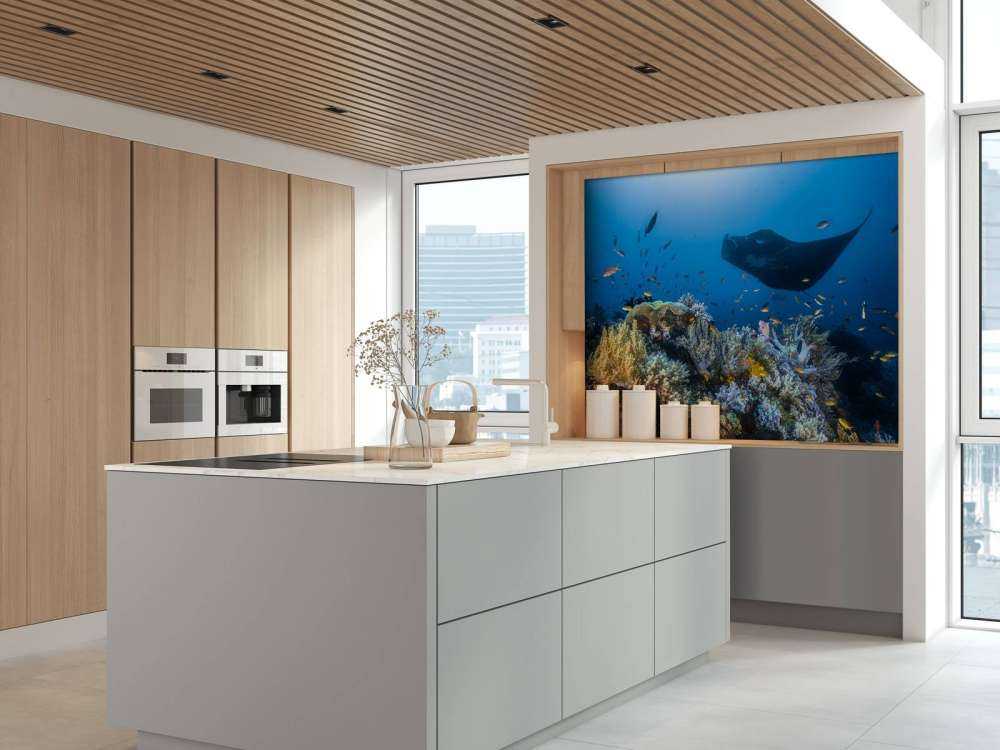 Manta reef on the reef