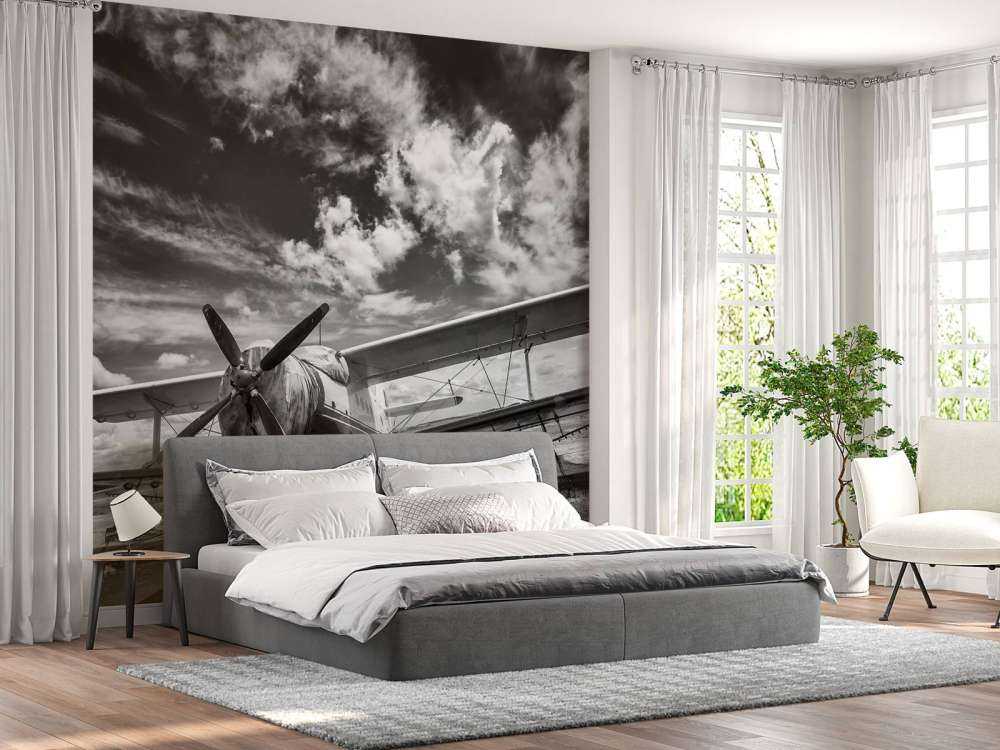 Klassisk fly