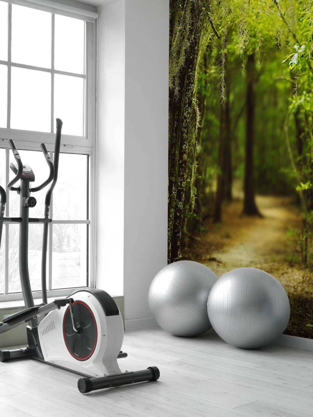 Spansk skov fuld af mos