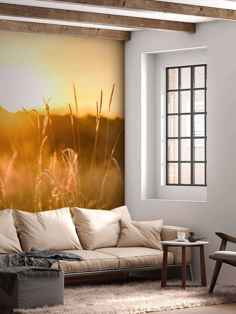 Solnedgang mellem kornet