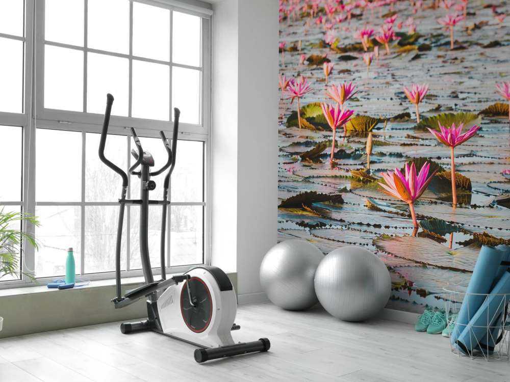 Hav af lotusblomster