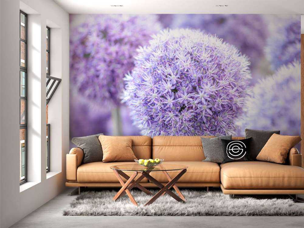 Purple Alliums