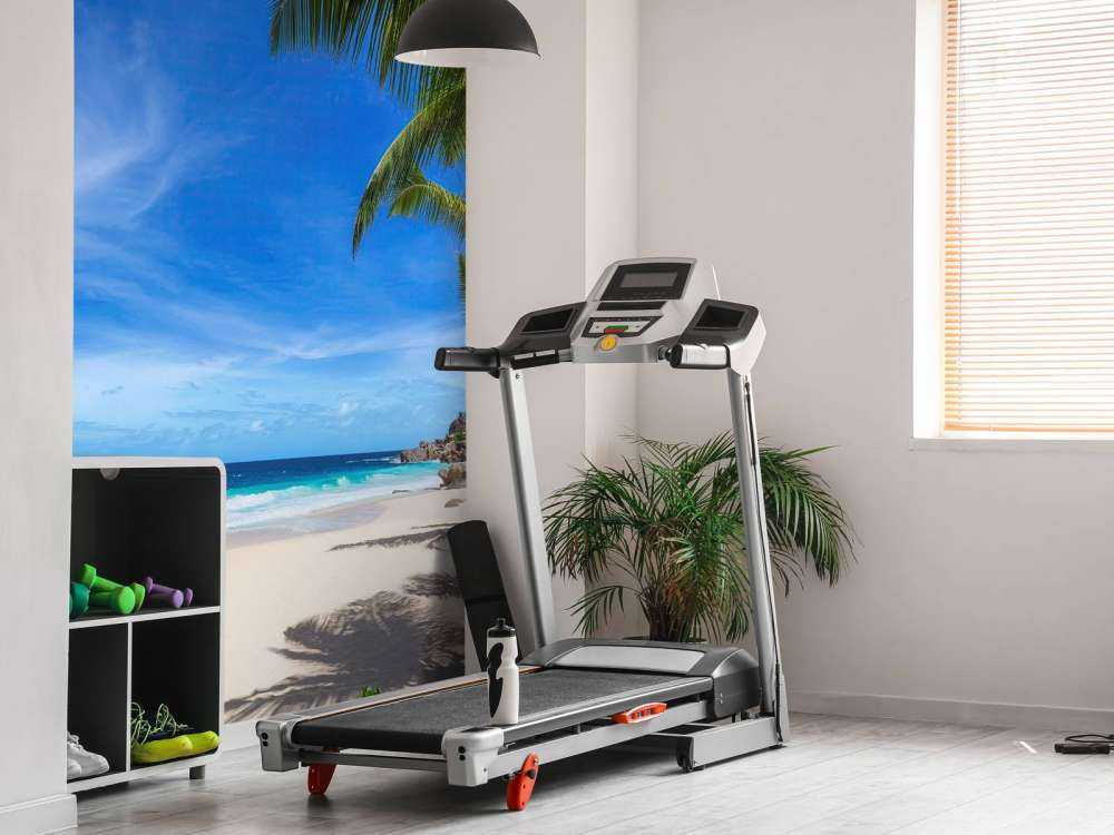 Tropisk strand med palme