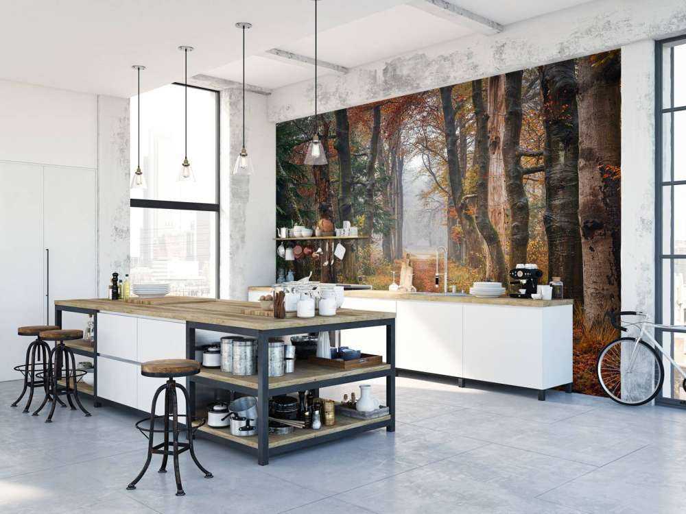 Skovsti med gamle træer