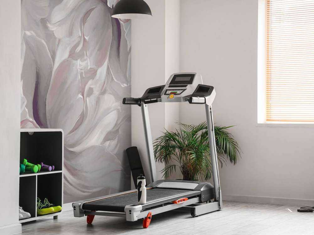 Store tulipaner pink