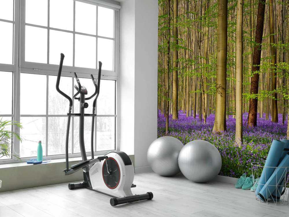 Skov med skovhyacinter