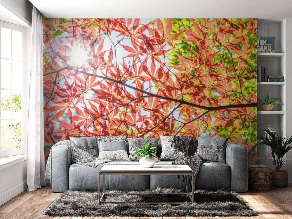 Røde efterårsblade