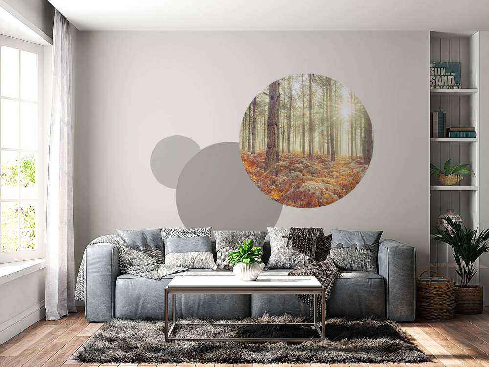 Solstråler gennem de kolde træer