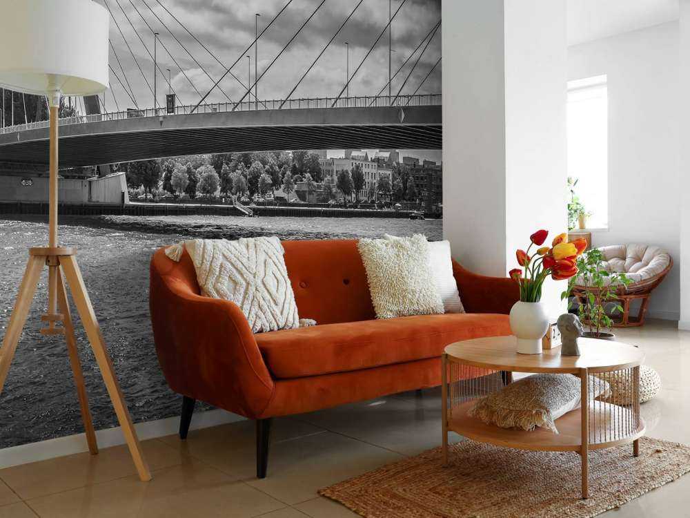 Passage af Prins Willem Alexander-broen i Rotterdam i sort/hvid  