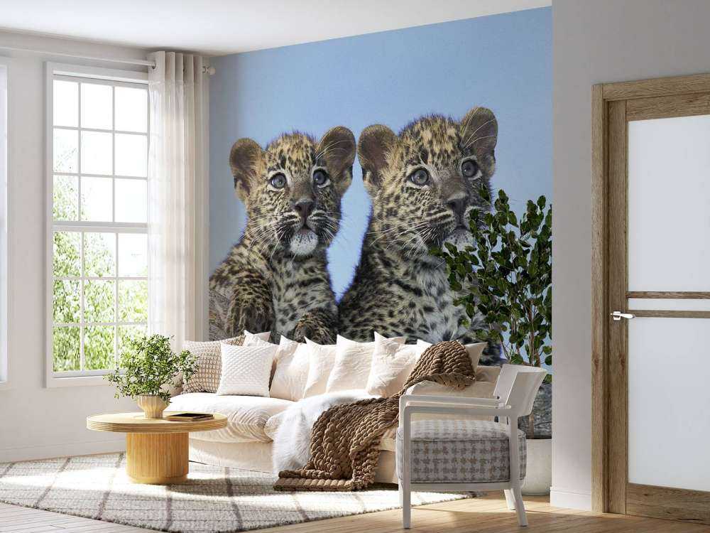 Små leoparder