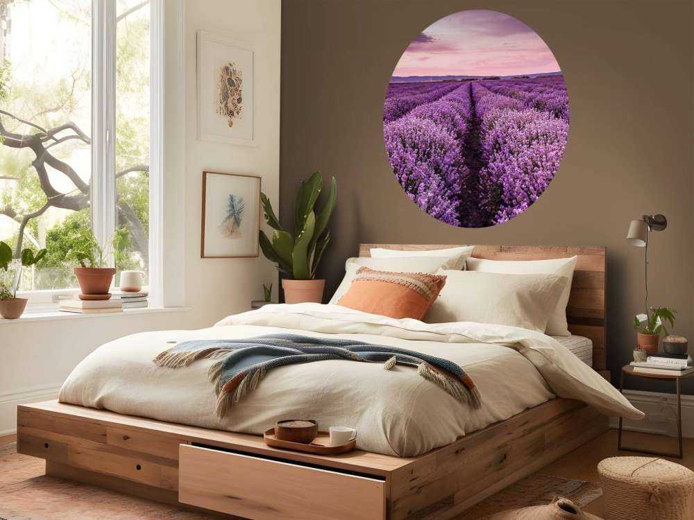 Lavendel buske