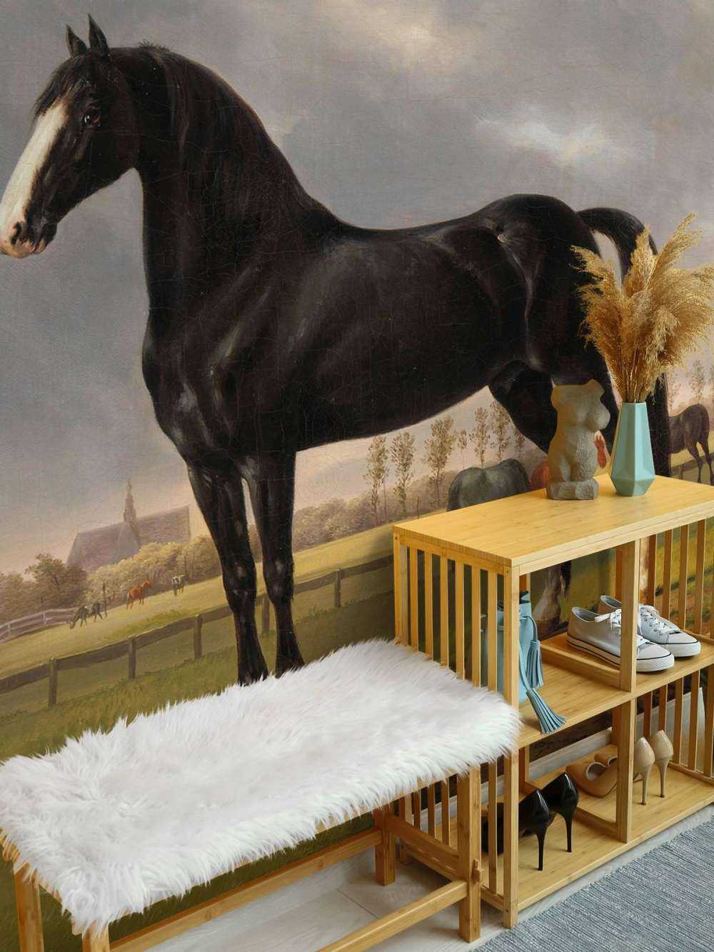 fototapet hest. Harddråer De Vlugge