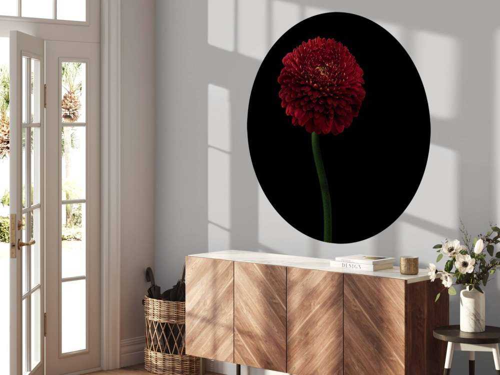 Rød blomst på stammen