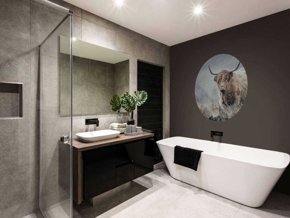 Scottish højlander i naturen